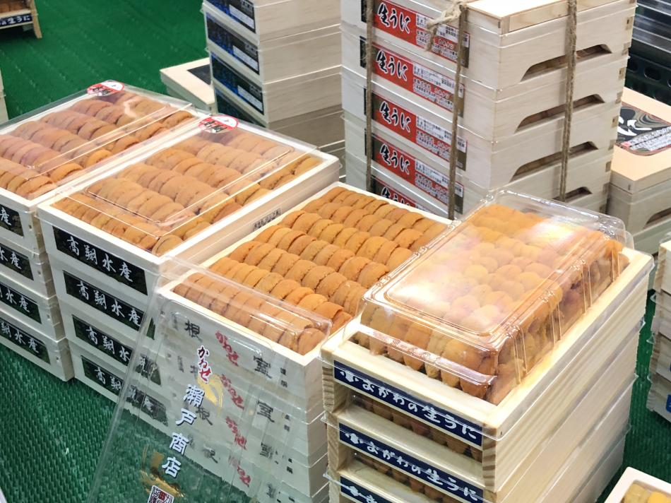 ウニ（バフン・ムラサキ・塩水ウニ等）各種