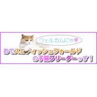 おすすめ 便利グッズ 猫動画 DIY ドローン空撮 ガジェット 口コミ 評価