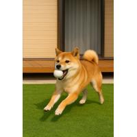 ペットと家族が笑顔になれる人工芝製品の取扱い