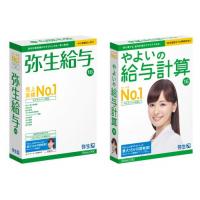 弥生給与の伝票の事ならお任せください。