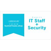 【IT人材不足に】SystemTeams（中小企業・自営業向け総合ITサポート）
