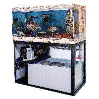獲れたての魚を冷やす漁船用海水冷却装置「フィッシュメイト」。鮮度保持に最適です。