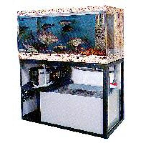 陸上用循環式海水冷却装置｢生簀メイト」冷水機（チラー）で新鮮な魚を調理できます。
