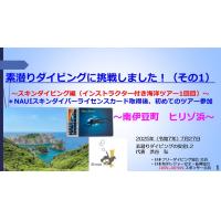 7分ー素潜りダイビングを始めました10 ~スキンダイビング編(プール練習8日目)
