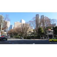 渋谷不動産相続・シニア関連総合コンサルタント事務所 - パレステュディオ新宿パークサイドのビデオをご覧下さいー2023年2月2/4日撮影