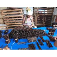 高付加価値野菜　生産企業　ベンチャー企業　生産農家　やる気の在る生産者募集！