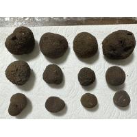 高付加価値野菜　生産企業　ベンチャー企業　生産農家　やる気の在る生産者募集！