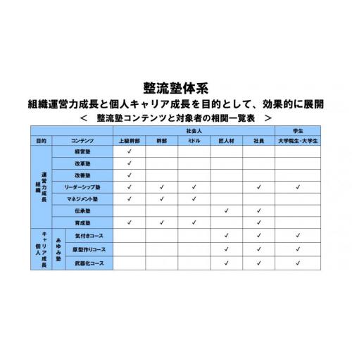 整流コンサルティング：ととのう整流塾体系