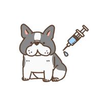 しらい動物病院 - 犬の混合ワクチン接種（6種・10種対応）