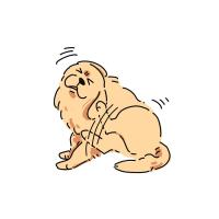 しらい動物病院 - 犬猫のノミ・ダニ予防と人への感染症対策