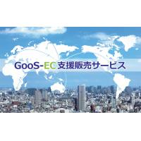 ECモール(国内外)出店･運用支援