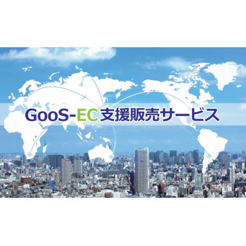 ECサイト(国内外)出店･運用支援