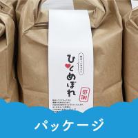 株式会社chibito - イベントや小さなお店での運用も楽になる小ロットのパッケージにも対応します