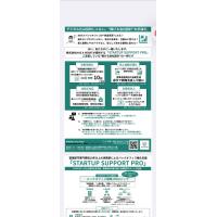 STARTUP SUPPORT PRO