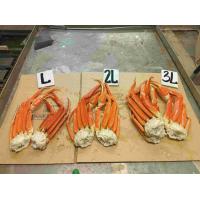 ズワイガニ オピリオ 蟹　SNOW CRAB OPILIO ロシア産 カニ　