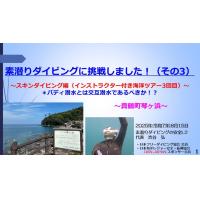 7分ー素りダイビングに挑戦!(3)~スキン編(インストラクター付きツアー3回目