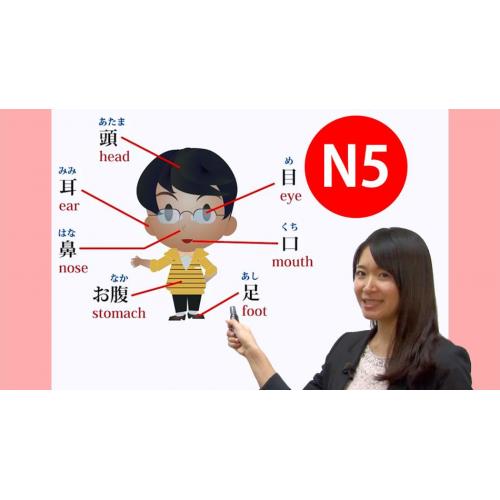 E-learning教材「日本語能力試験(JLPT)対策 N5コース」