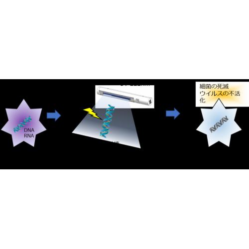 紫外線による空間・物体表面の除菌が出来ます