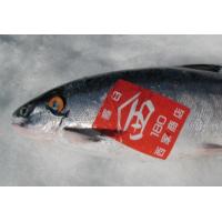 北海道産海鮮珍味・つまみ工場直販（つまみ鱈、昆布たら、真鱈寿、鮭とばその他）