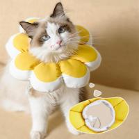猫爪とぎ 時空コンパス 猫ベッド ホワイト・グレー  猫おもちゃ 丸形 段ボール
