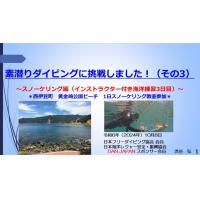 7分ー素潜りダイビングに挑戦3ースノーケリング（インストラクター付き海洋練習3日