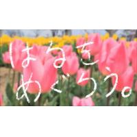 マニュアル動画制作