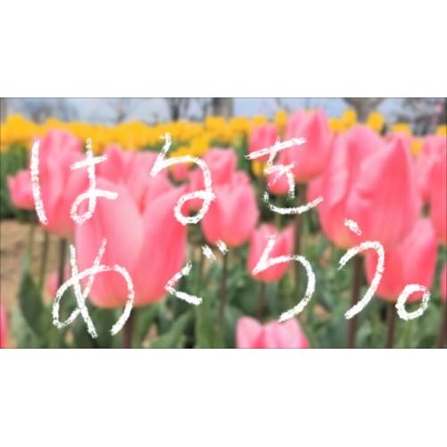 イベント紹介動画制作