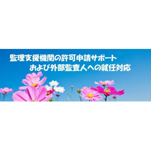 育成就労制度における監理支援機関の許可申請サポート・外部監査人就任対応