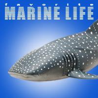 ■海洋生物・MARINE　LIFE■をテーマにしたリアルフィギュア