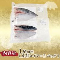 温暖で潮通しの良い宇和海で育ったご堪能鮮魚セット