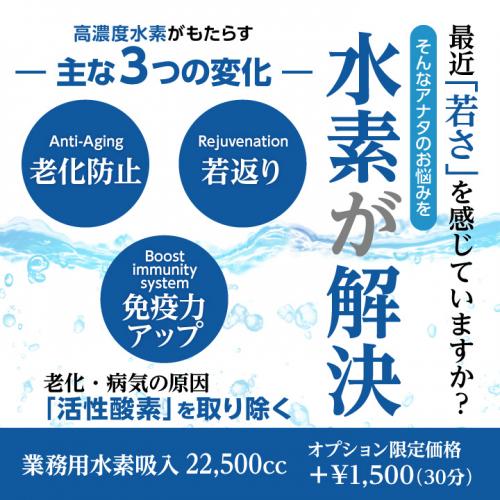 〈オプション限定〉医療用 水素吸入