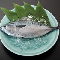 温暖で潮通しの良い宇和海で育ったご堪能鮮魚セット