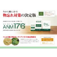 物忘れ　認知の為のフェルラ酸栄養補助食品　ＡＮＭ１７６