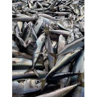 中小・零細企業の海外向け直接輸出を低料金でサポートしています