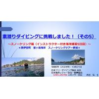 7分ー素潜りダイビングに挑戦3ースノーケリング（インストラクター付き海洋練習3日