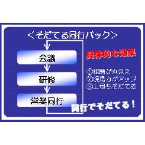 そだてるの営業同行パック。会議→研修→営業同行を繰り返し、現場力の向上を。