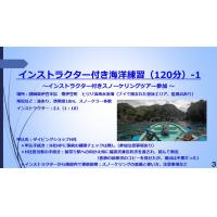 7分ー素潜りダイビングに挑戦3ースノーケリング（インストラクター付き海洋練習3日