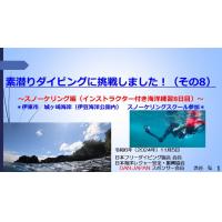 7分ー素潜りダイビングに挑戦3ースノーケリング（インストラクター付き海洋練習3日