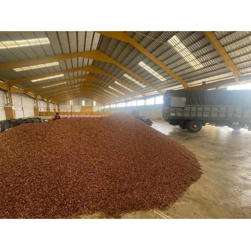 エクアドル産カカオ豆の輸入販売