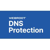 テレワーク環境のセキュリティ強化 URLフィルター 　 （DNSプロテクション)