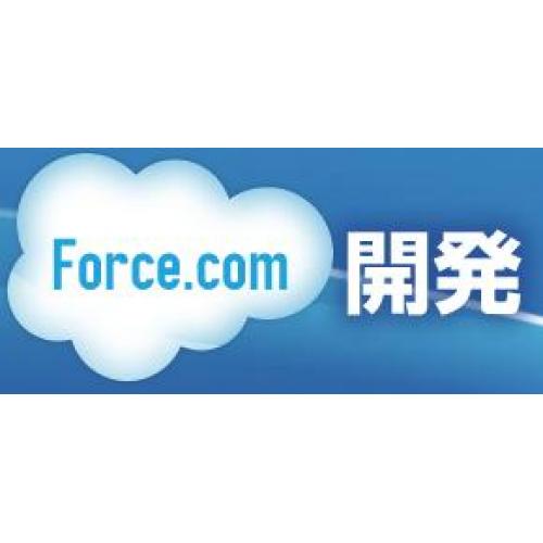 Force.com開発・Salesforce導入システムキューブ