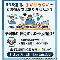 田辺ITサポートの広告