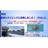 ７分ー素潜りダイビングに挑戦5ースノーケリング（インストラクター付き海洋練習5日