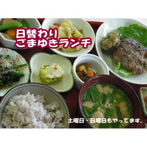 １食で30品目分！健康・日替わり　ごまゆきランチ