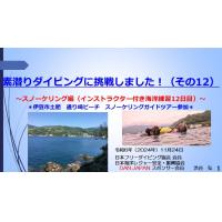 ７分素潜りダイビングに挑戦1２ースノーケリング（インストラクタ付き海洋練習日12