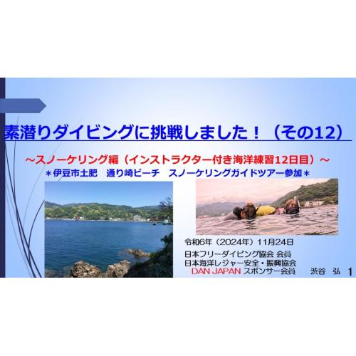 ７分素潜りダイビングに挑戦1２ースノーケリング（インストラクタ付き海洋練習日12