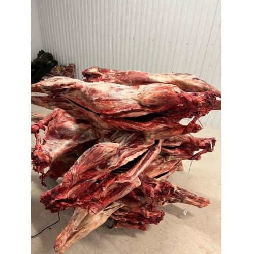 ロシア産 鹿肉（枝肉）／業務用・安定供給・年間供給対応