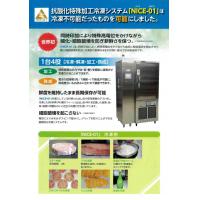 抗酸化特殊冷凍機 NICE-01