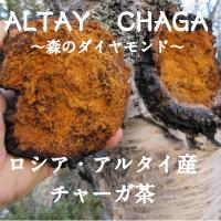 チャーガ茶ブロック