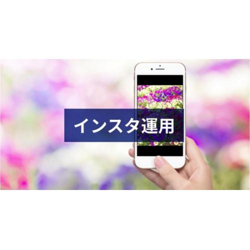 インスタグラム運用:初期構築10万円税別+(運用1年契約×5.5万円税別)
